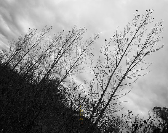 Evergreen Brickworks 61