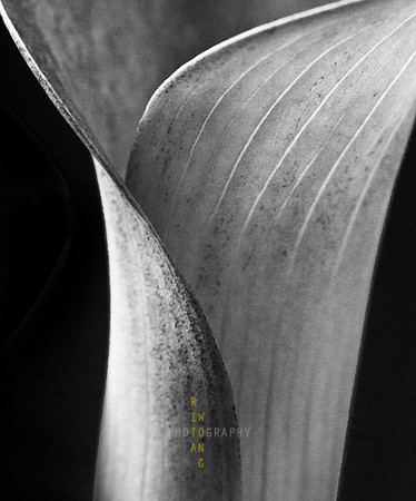 Enrobed