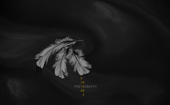 Softly Floating