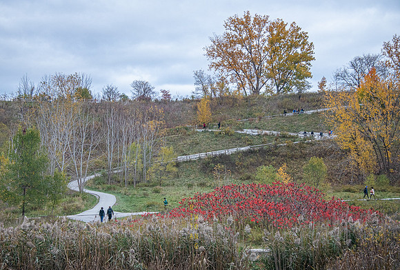 Evergreen Brickworks 40