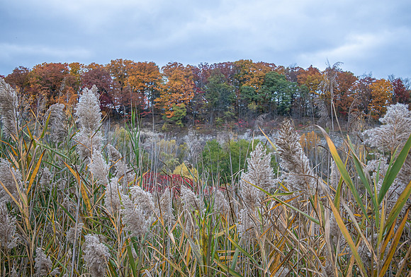 Evergreen Brickworks 44