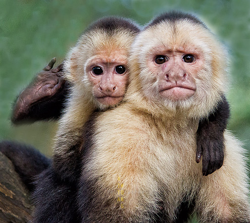 Staying by Mother