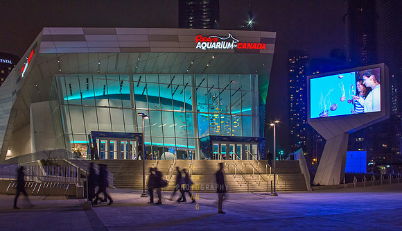 Ripley's Aquarium-Exterior 1