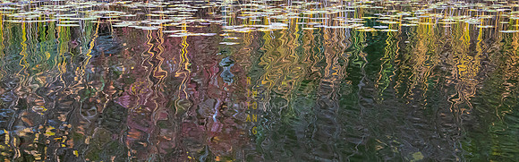 Evergreen Brickworks 58