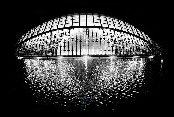 The Night Eye *