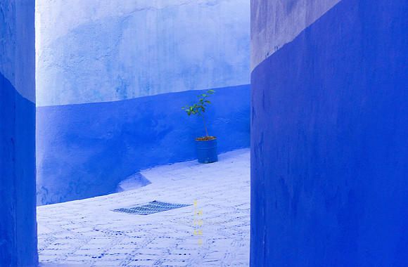 Simplicity in Blue-1