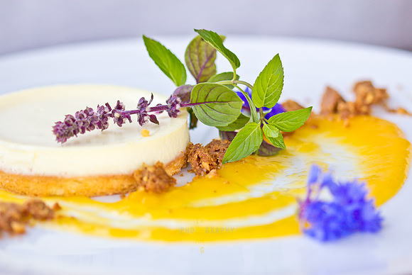 Lavender Cheesecake