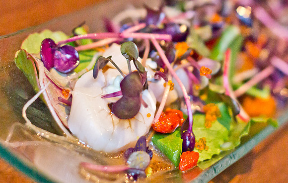 Scallop Carpaccio