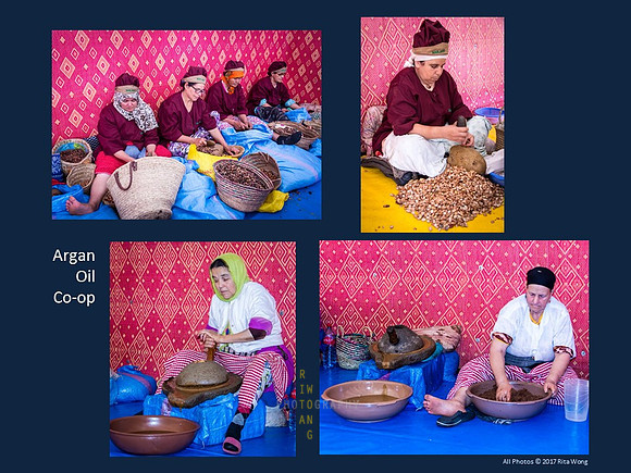 Argan Oil Co-Op