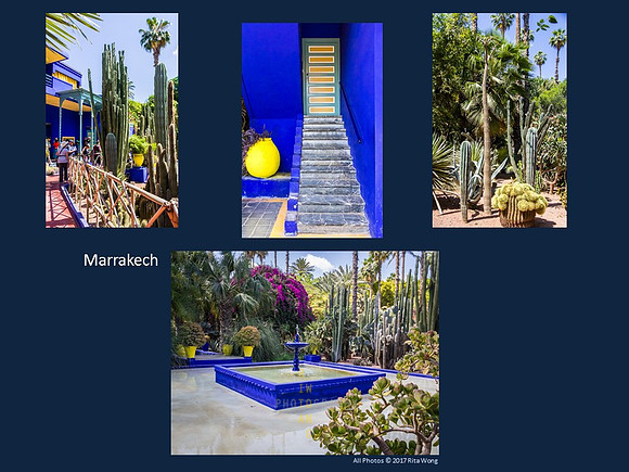 Marrakech - Jardin Marjorelle