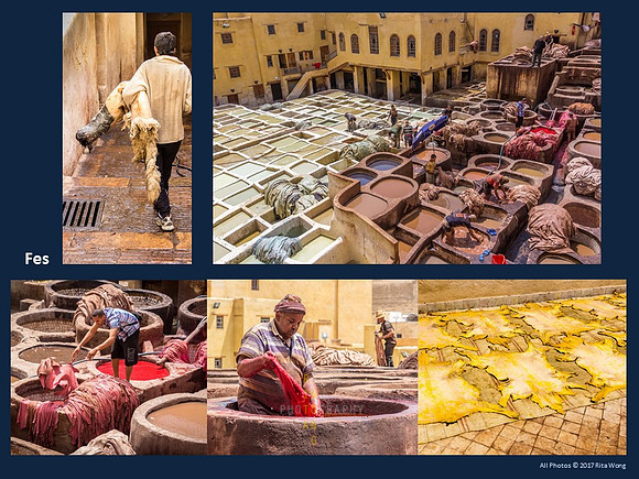 Fes - Leather Tannery