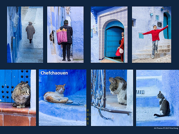 Chefchaouen - People and Cats