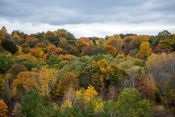 Evergreen Brickworks 42