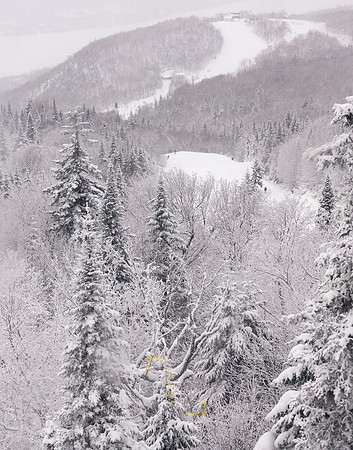 Winter Magic
