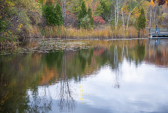 Evergreen Brickworks 48