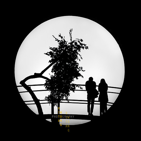 Lunar Garden