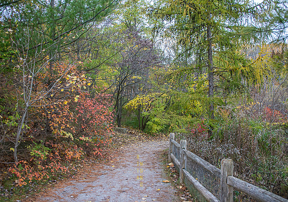 Evergreen Brickworks 52