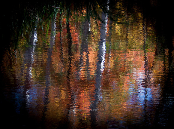 Autumn Impression