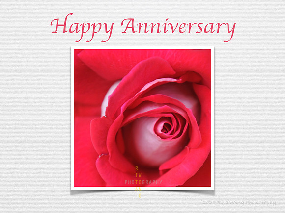 Floral Card - Happy Anniversary