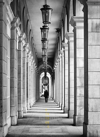 Parisian Promenade
