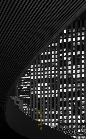 Embracing Architecture
