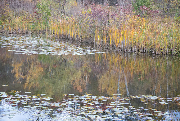 Evergreen Brickworks 49