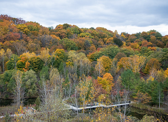 Evergreen Brickworks 41