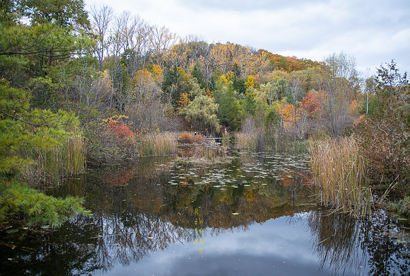Evergreen Brickworks 45