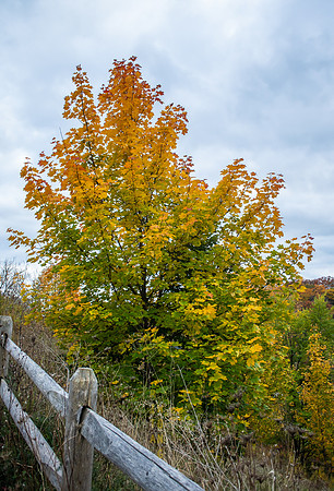 Evergreen Brickworks 54