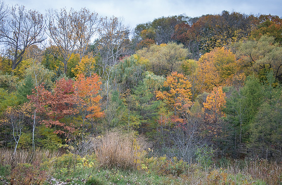 Evergreen Brickworks 43