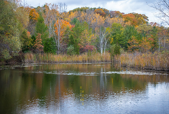 Evergreen Brickworks 47