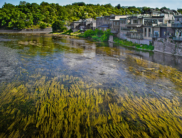 Grand River Green