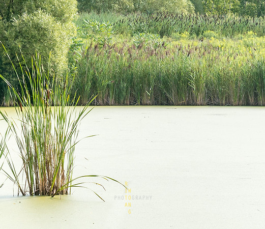 Evergreen Brickworks 37