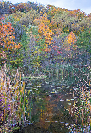 Evergreen Brickworks 46