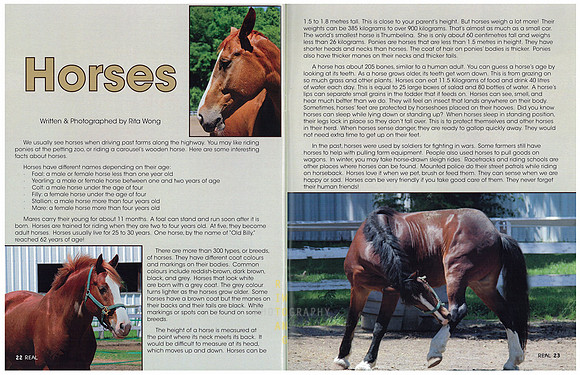 Horses