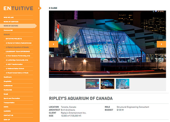 Ripley's Aquarium (Corporate Website-2)