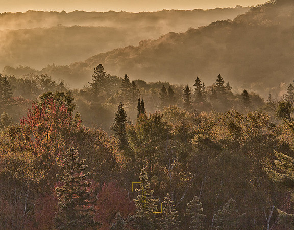 Misty Forest at Sunrise