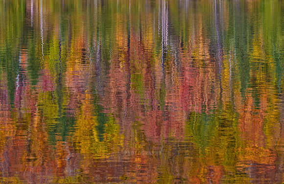 Reflecting on the Autumn Palette