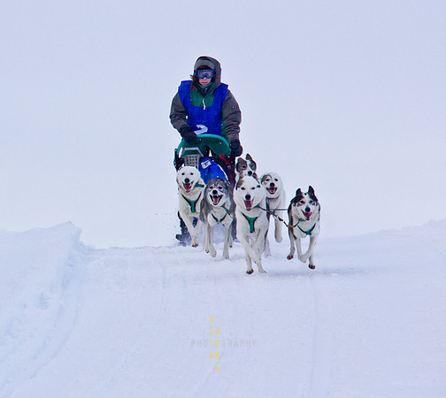 Snow Huskies